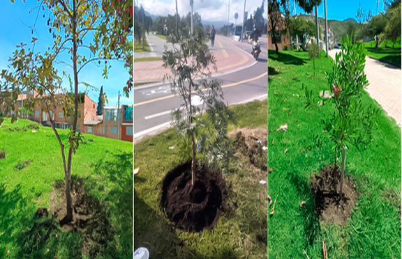 Vecinos de Rafael Uribe Uribe participando en jornadas de cuidado ambiental