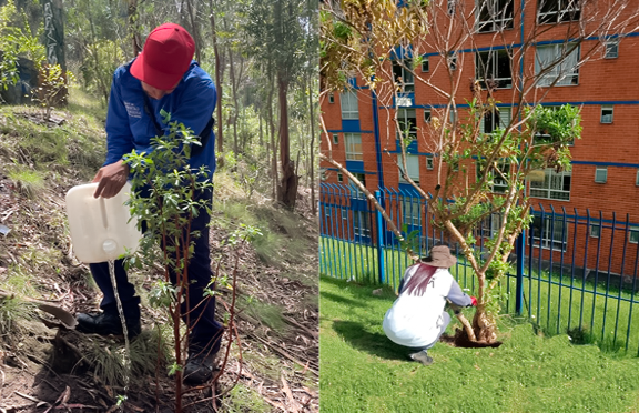 Vecinos de Rafael Uribe Uribe participando en jornadas de cuidado ambiental